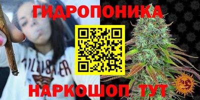 кокс Донской